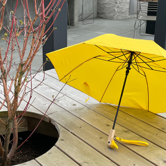 Ducky Umbrella